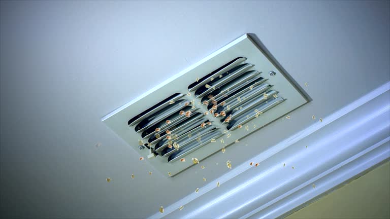 Best Air Duct Cleaning Company Near Me  in Higganum, CT